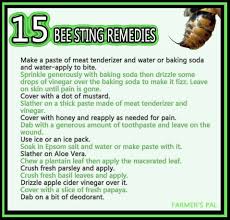 Pin By Jennifer Owens On Things You Need To Know Remedies For Bee Stings Remedies Bee Sting