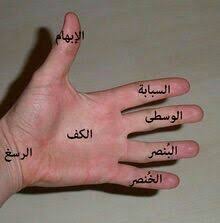 أسماء أصابع اليد Learning Arabic Arabic Resources Tattoo Quotes