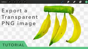 export a transparent png watercolor painting with procreate youtube export a transparent png watercolor painting with procreate