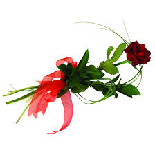 Maybe you would like to learn more about one of these? Single Red Rose Lodge Brothers Funeral Directors