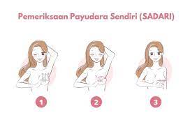 Unduh dan gunakan 900+ foto stok payudara secara gratis. Mayapada Hospital Cara Periksa Payudara Sendiri Untuk Deteksi Dini Kanker Payudara