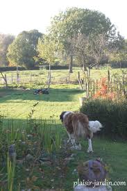 Le jardin de catherine com tondeuse autoportee thermique mowcart. Tondre Sans Contrainte Plaisir Jardin Com
