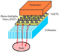 Every nai detector has a unique gain drift as a function of temperature. Sensors Free Full Text Progress In The Development Of Cdte And Cdznte Semiconductor Radiation Detectors For Astrophysical And Medical Applications Html