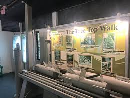 Check spelling or type a new query. What To Do At Tree Top Walk Sungai Sedim Kedah The Star