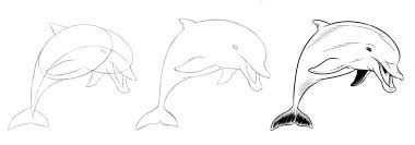Learn How To Draw Animals Step By Step Demos Sketching Tips And More Animal Drawings Dolphin Drawing Drawings