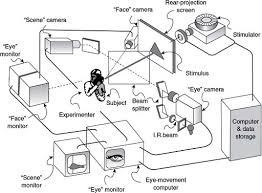 Infancy Sage Research Methods