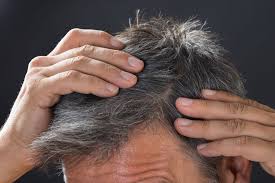 Keeping track of everyone is difficult and the screenplay is laughably the white haired witch is visually stunning. De Stressing Can Bring Colour Back To Grey Hair New Study Claims Nz Herald