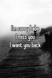 I M Sorry Babe I Miss You I Want You Back Want You Back Quotes Want You Back Sorry My Love