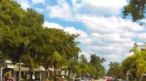 Maybe you would like to learn more about one of these? Swfl Do It Yourself Pest Control Tips Naples Fl Premier Pest Management