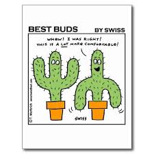 Funny Cactus Pictures Google Search Cactus Cartoon Cute Funny Cartoons Cartoon Posters