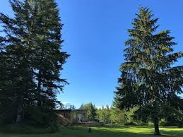 Your home away from home on vancouver island. Cottage Rental Of The Week Contemporary Cabin On Vancouver Island Cottage Life