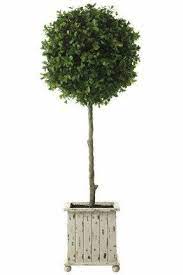 We did not find results for: Pin On Gardening Ideas