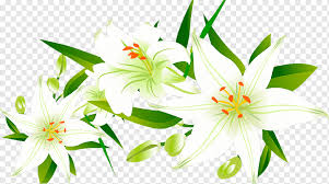 We did not find results for: Lilium Floral Design Icon Lily Flower Arranging Leaf Landscape Png Pngwing