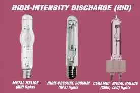 Led vs lec grow lights. Cannabis Grow Lights Pros Cons And What You Need To Consider