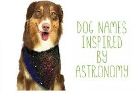 We've scoured the world and dug through history to find you the fiercest feminine ideas that perfectly capture your tough girl's personality. 550 Celestial Space And Star Themed Dog Names All About Pets
