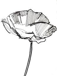 Image Result For Easy Sketches Of Flowers Simple Flower Drawing Flower Sketches Flower Drawing