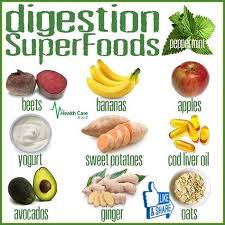 How To Heal Your Gut For Overall Health Nutrition Digestion Simple Nutrition