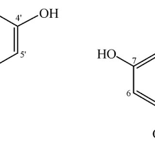 Image result for Acridocarpus chloropterus