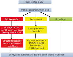 Assessing And Documenting Fluid Balance