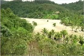 Image result for kerla flood