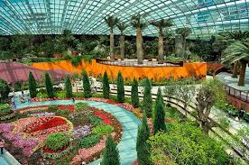 Taman bunga celosia dibangun dengan konsep kekinian taman melayani penjualan bunga hias dalam bentuk pot yang terletak berdampingan wisata taman bunga celosia. Flower Dome Garden By The Bay Yang Bunganya Berubah Rubah