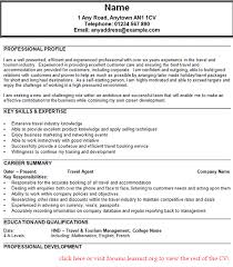 corporate travel agent resume