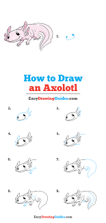 The axolotl is a type of amphibian that looks like a salamander…let's draw one! How To Draw An Axolotl Really Easy Drawing Tutorial