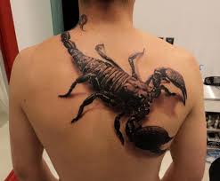 Check spelling or type a new query. Scorpion Tattoo On Full Back Female Tattoo Female Tattoo Girl Tattoo Free Tattoo