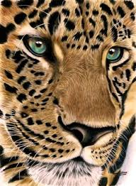 Leopard Stare By Anniecanjump On Deviantart Big Cats Art Color Pencil Art Animal Paintings