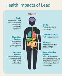 Image result for Lead Poisoning