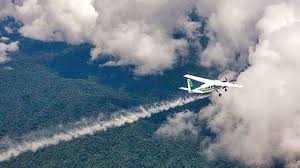 Gujarat government drops the idea of ...