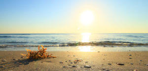We offer a selection of cozy cabins, rustic tent camping sites, and full hookup rv sites to choose from, with our friendly and helpful staff to greet you and an amenity package the whole family will love. Paradise Park Resort Old Orchard Beach Maine