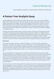 United states — compare independent source, inevitable discovery, plain view. A Poison Tree Analysis Essay Essay Example