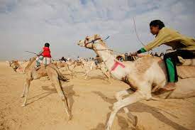 We've asked canvas how to do this stuff, for some baseline instruction on how to setup a pc to run the scripts, only to be told instructure cannot tell you. Egypt Camel Racers Hope Desert Sport Will Spread To Fresh Pastures Arab News