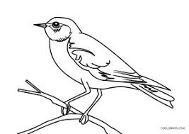 The spruce / miguel co these thanksgiving coloring pages can be printed off in minutes, making them a quick activ. Free Printable Bird Coloring Pages For Kids Cool2bkids