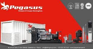 Everyday and elite runners alike love the fit, durability, and responsiveness this shoe has delivered year after year. Pompes Groupes Electrogenes Pegasus Power