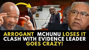 Gigaba, Yoshizawa and Schweikert opening remarks