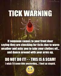 Busy bee termite & pest control. Jim S Busy Bee Pest Control Home Facebook