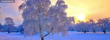 Snow Facebook Covers Fbcoverstreet Com Coverbud allows you to create unique and personal cover photos for your facebook timeline. snow facebook covers fbcoverstreet com