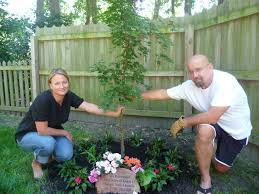 Here are few trees and shrubs that might make nice memorial gifts: 22 Memorial Garden Ideas Memorial Garden Garden Pet Memorial Garden