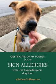 Getting Rid Of My Foster Dog S Skin Allergies With This Dehydrated Hypoallergenic Grain Free Dog Food K9sovercoffee Dog Skin Allergies Dog Training Methods Dog Training
