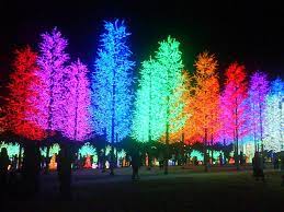 Coloured Trees Exterior Christmas Lights Animated Christmas Lights Christmas Light Show