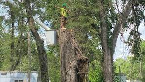 Maybe you would like to learn more about one of these? Sheffield Tree Service Home Facebook