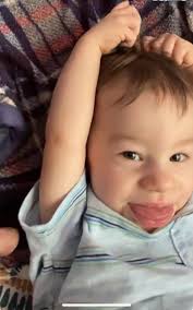 Hello everyone looking for some advice, my son was diagnosed with autism a  few months ago, he is sick everyday from stuffing foods, eating non food  ect, however he also recently has