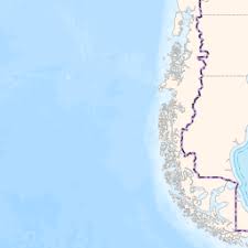 Image result for Pseudechinolaena