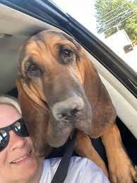 💔 My mother-in-law threw away my late son's clothes — and that's when I  decided to expose her secret in front of everyone. Caleb was my whole  world. My beautiful boy —