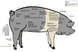 Cuts Of Swine Diagram Catalogue Of Schemas