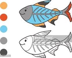 Download Coloring Book X Ray Fish Clipart Images