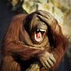 Unfortunately, stress is inevitable and you can't eliminate it, despite your best efforts. 3