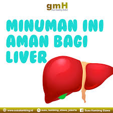 Hal tersebut dikarenakan susu formula berbasis kedelai selain susu formula dari kedelai, anda juga perlu menghindari jenis susu formula lain seperti susu sapi reguler, susu kental manis, susu kambing. Susu Kambing Bagus Bagi Penyakit Liver Susu Kambing Etawa Naima